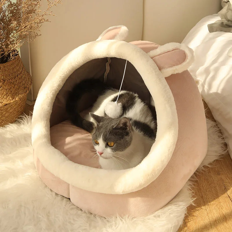 Chat Niche :CATNEST™