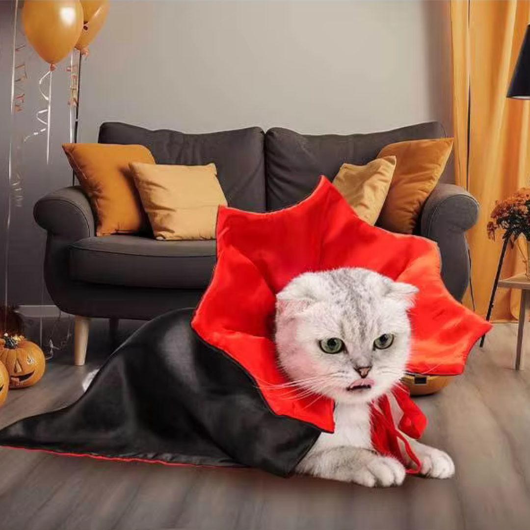 Déguisement Chat Halloween : CATCAPE™