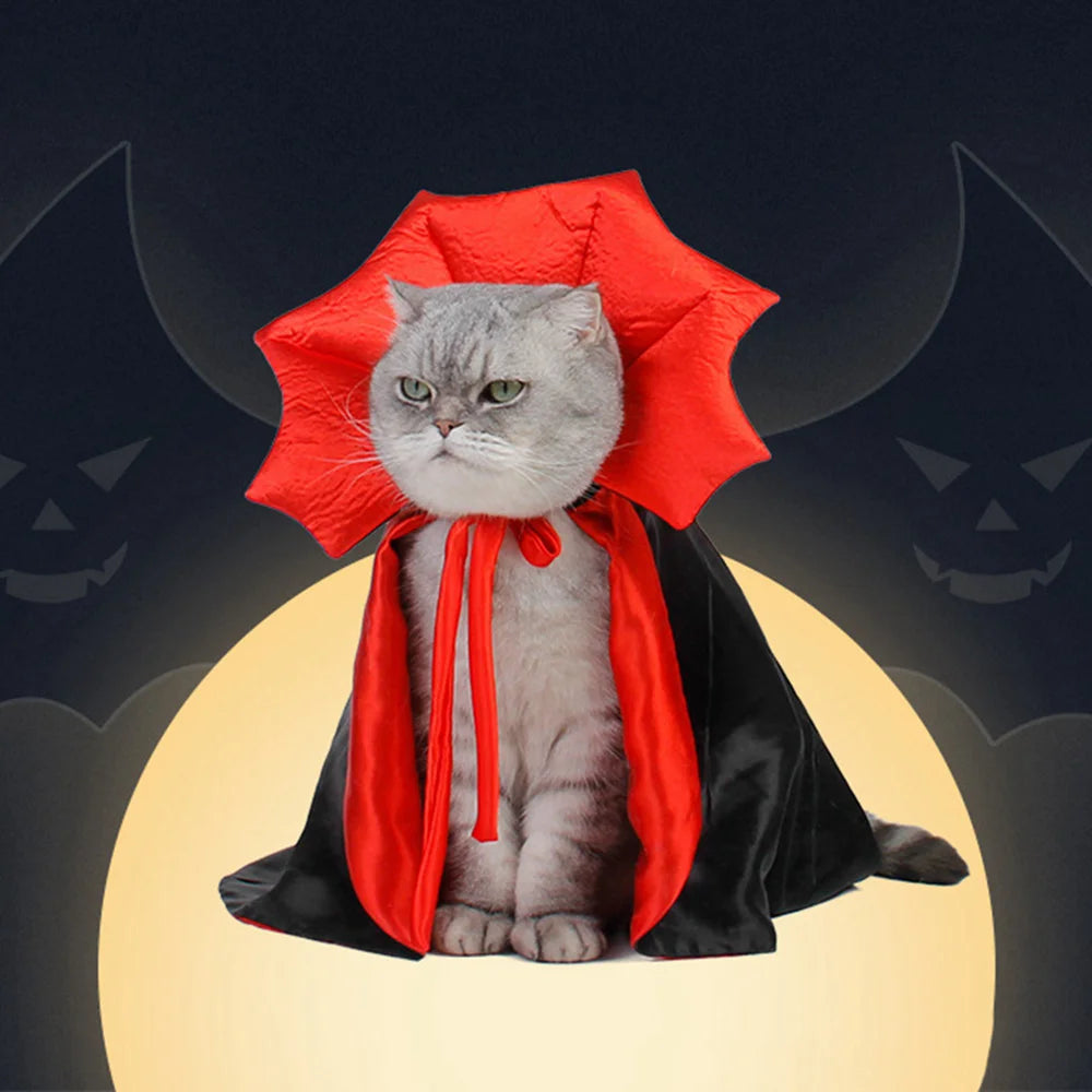 Déguisement Chat Halloween : CATCAPE™