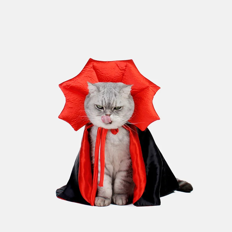 Déguisement Chat Halloween : CATCAPE™