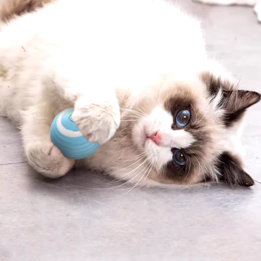 Jouet pour Chat Balle Intelligente :SMARTCATBALL™