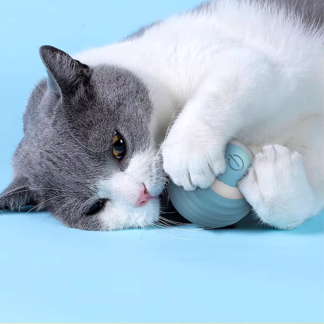 Jouet pour Chat Balle Intelligente :SMARTCATBALL™