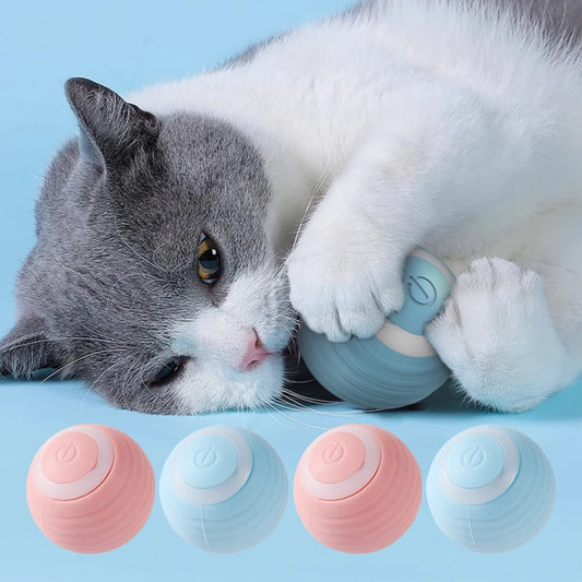 Jouet pour chat : BALLCAT™