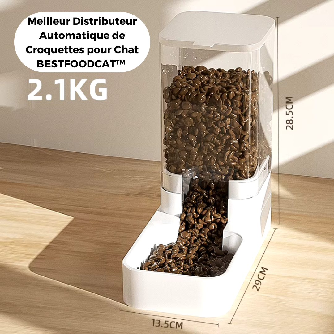 Meilleur Distributeur Automatique de Croquettes pour Chat :BESTFOODCAT™