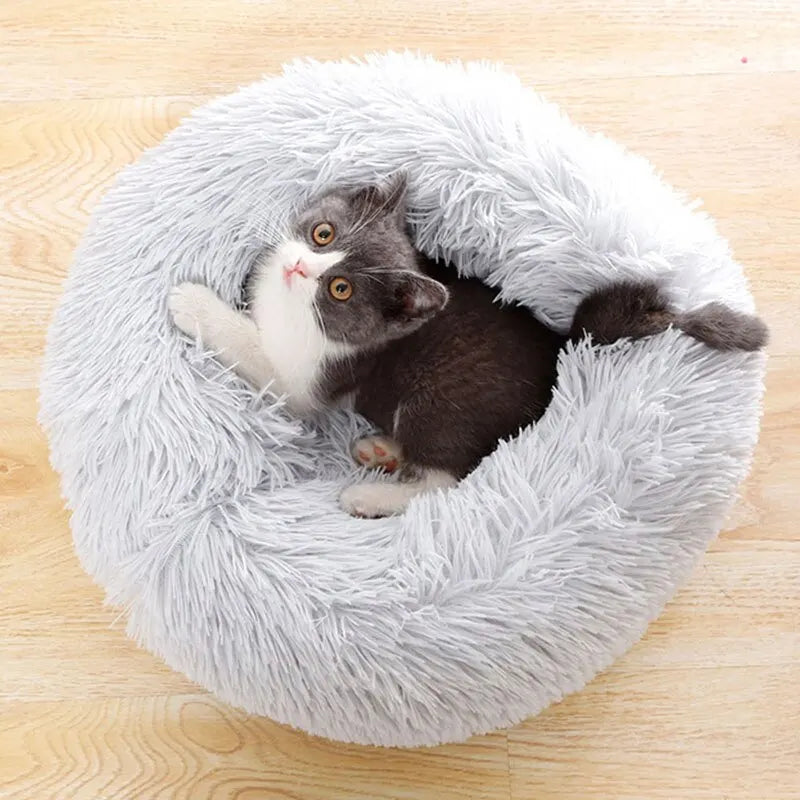 Coussin pour Chat : Softcushioncat™