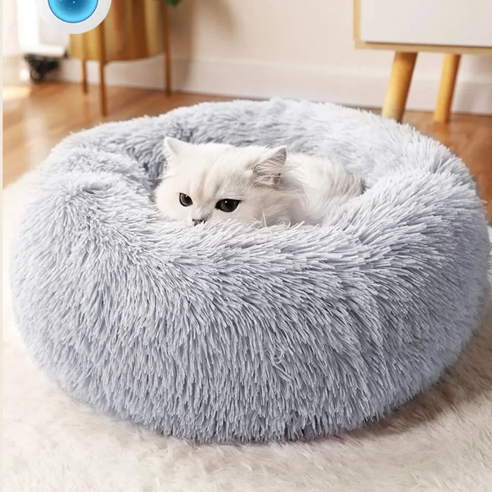 Coussin pour Chat : Softcushioncat™