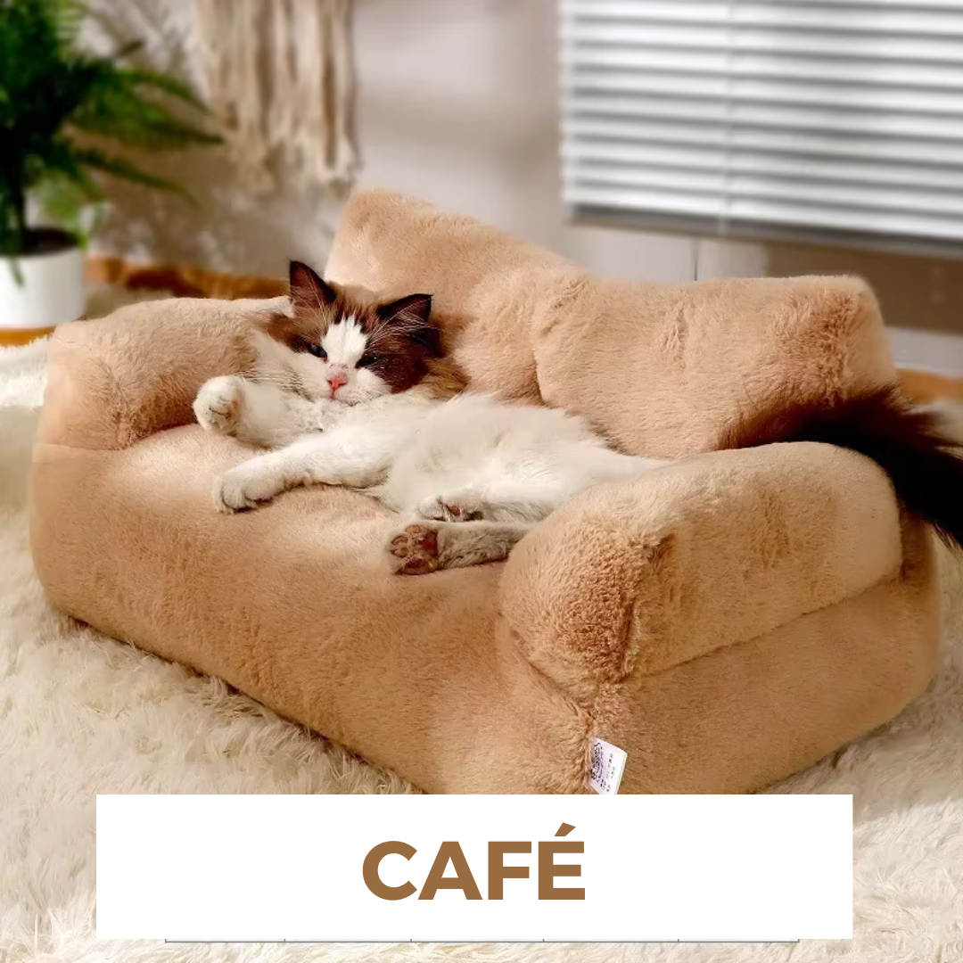 Le Canapé pour Chat: CatCouch™