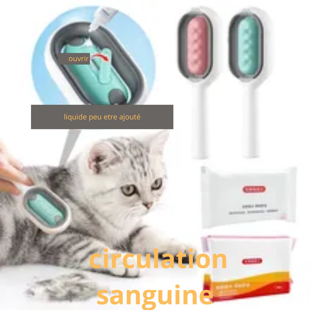 CAT WOW™ .Brosse d'épilation pour chat a double face - les chats et leurs accessoires .com