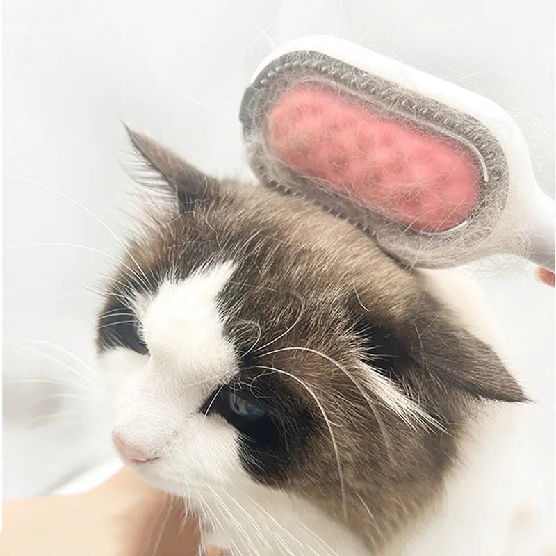 CAT WOW™ .Brosse d'épilation pour chat a double face - les chats et leurs accessoires .com