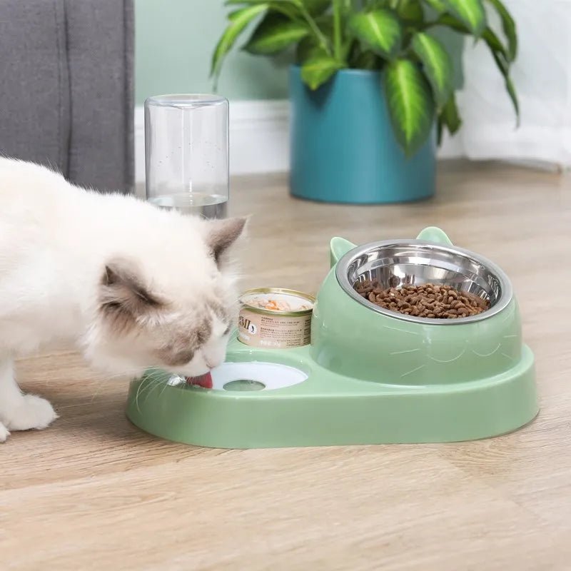 bol manger pour chat avec distributeur d'eau automatique - les chats et leurs accessoires .com