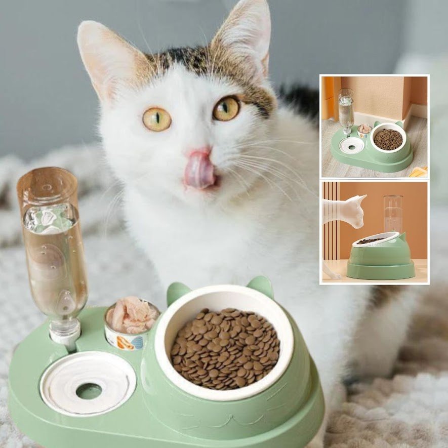 bol manger pour chat avec distributeur d'eau automatique - les chats et leurs accessoires .com