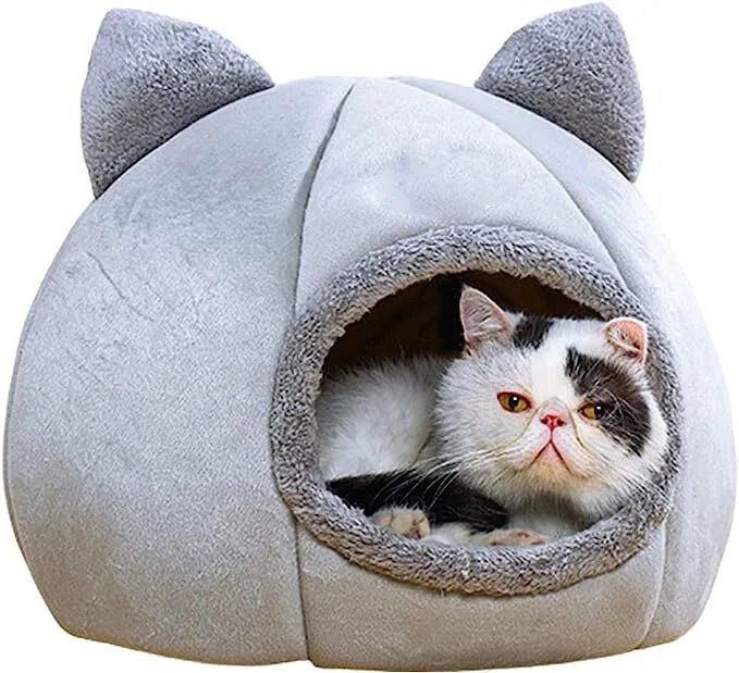 niche pour chat - les chats et leurs accessoires .com