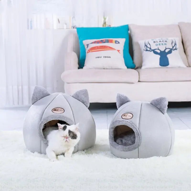 niche pour chat - les chats et leurs accessoires .com