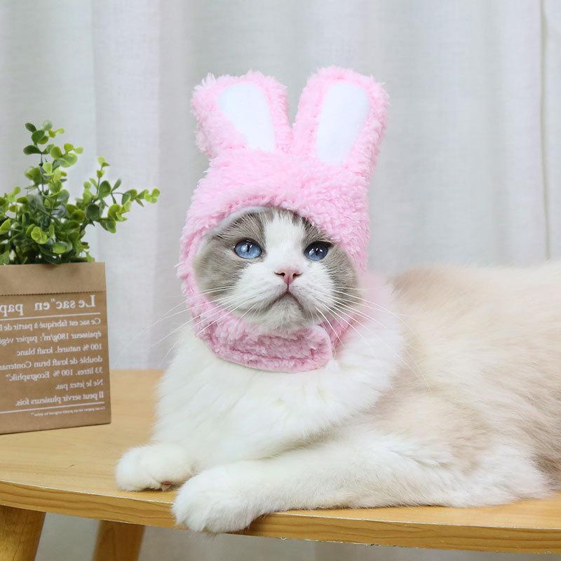 RabbitHat™ - Accessoire de déguisement pour chat - Les chats et leurs accessoires.com