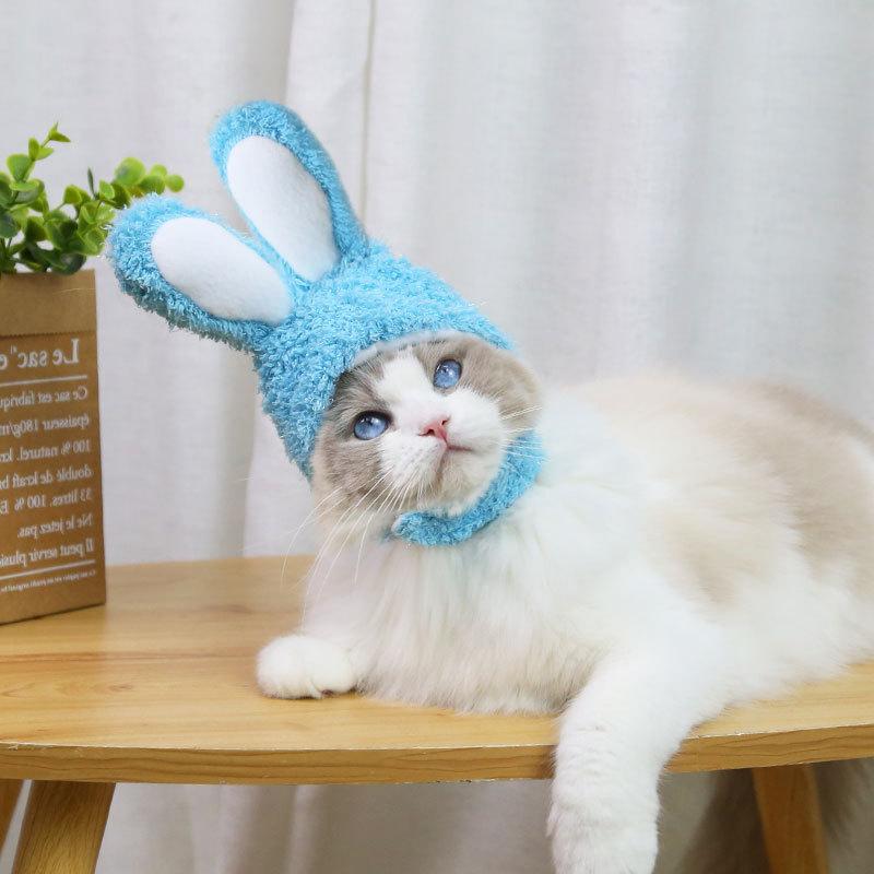 RabbitHat™ - Accessoire de déguisement pour chat - Les chats et leurs accessoires.com