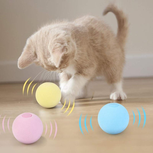 SmartBall™ - Balle intelligente d'apprentissage pour chat - Les chats et leurs accessoires.com